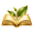 eBooky