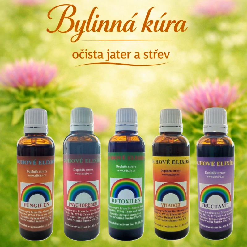 Bylinná kúra Očista jater a střev