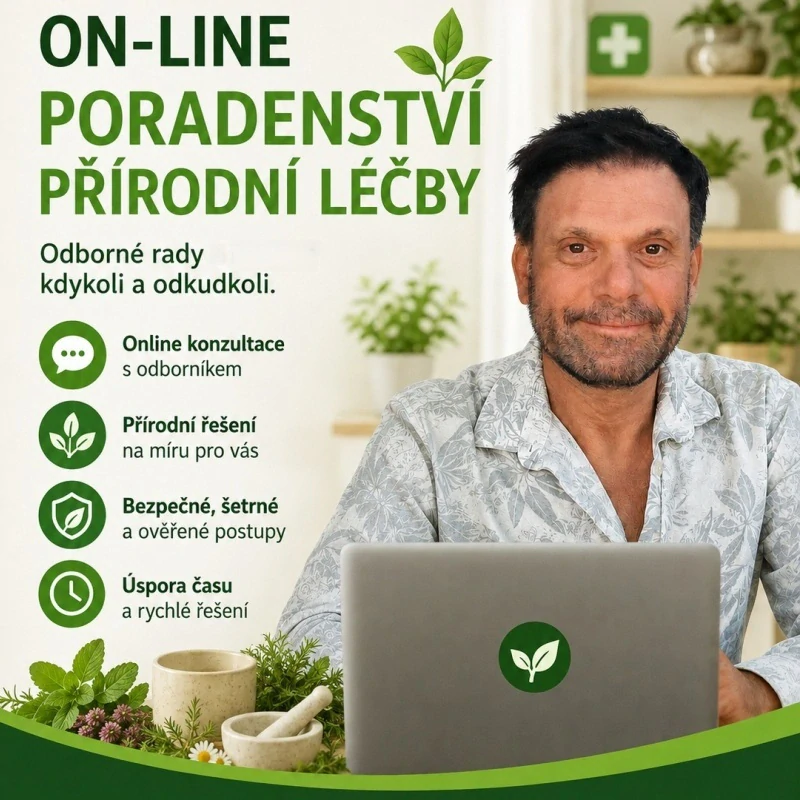 Poradenství přírodní léčby